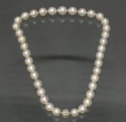 Südsee-Perlenkette, 37 Perlen ø 10 - 13.3 mm, leicht verlaufend, Farbe silberweiß, gutes Lüster, Ba