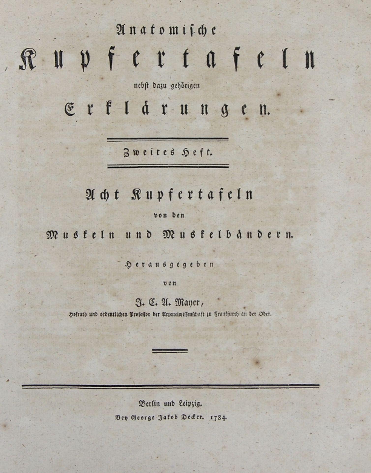 Johann Christoph Andreas Mayer "Anatomische Kupfertafeln nebst den dazu gehörigen Erklärungen" - Bild 2 aus 12