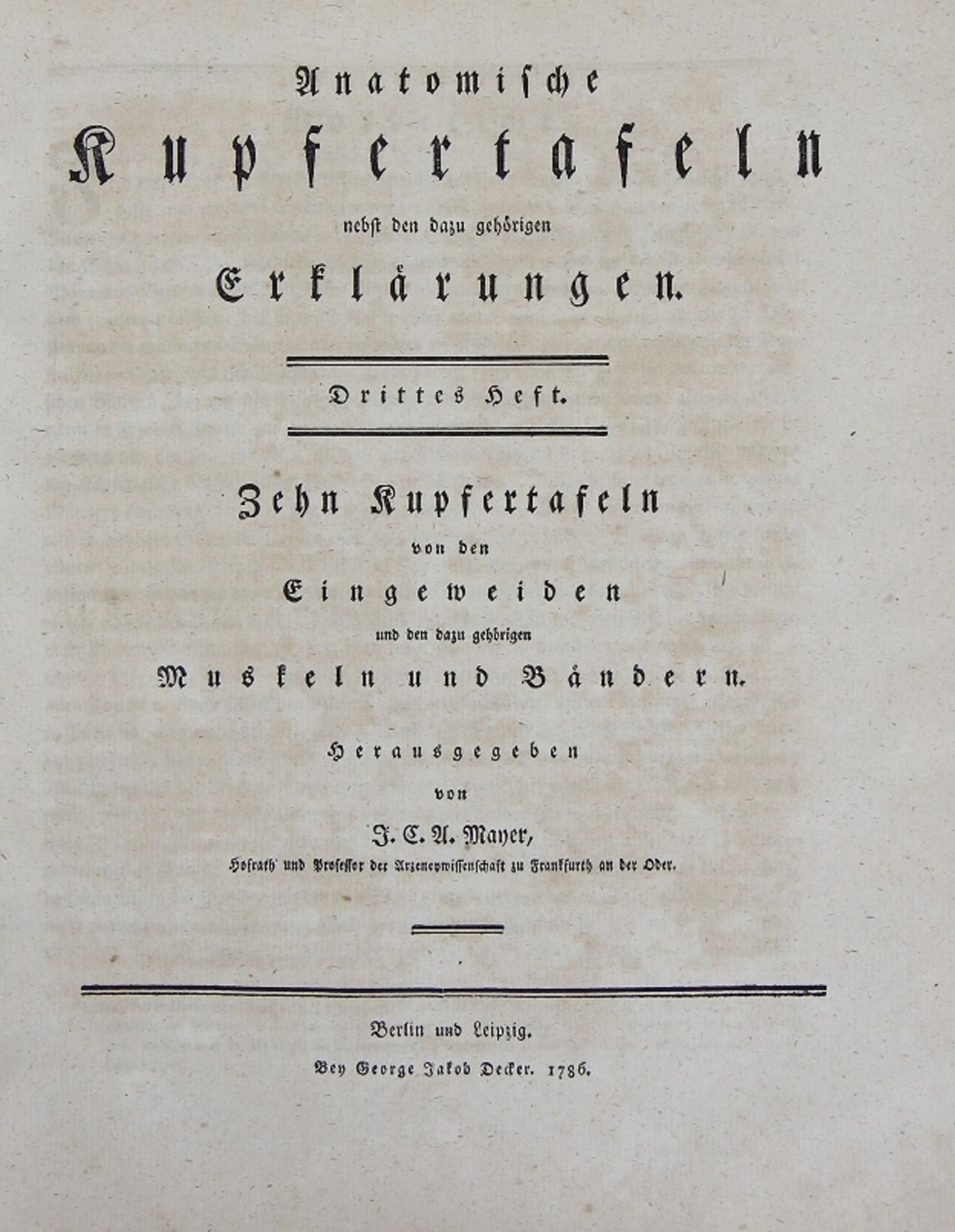 Johann Christoph Andreas Mayer "Anatomische Kupfertafeln nebst den dazu gehörigen Erklärungen" - Bild 3 aus 12
