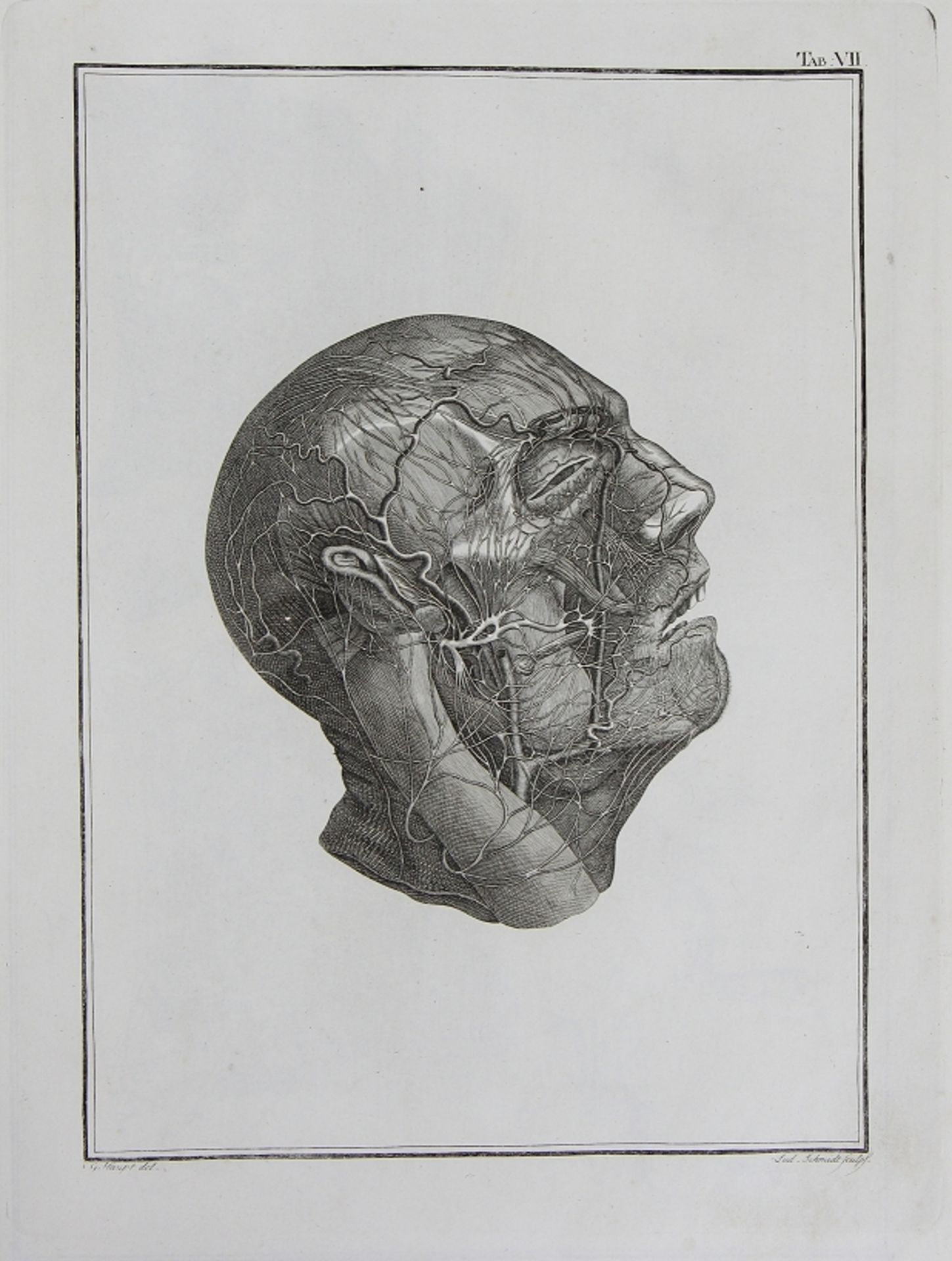 Johann Christoph Andreas Mayer "Anatomische Kupfertafeln nebst den dazu gehörigen Erklärungen" - Bild 9 aus 12