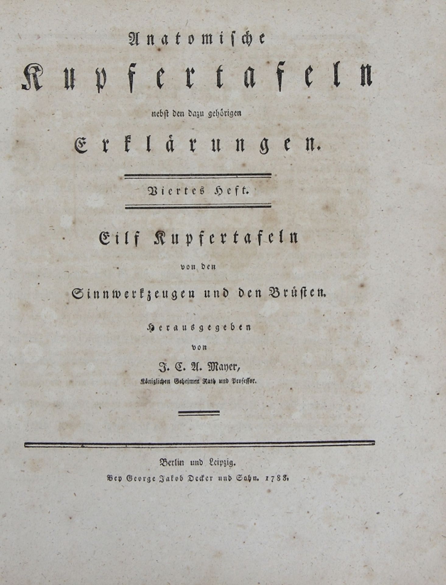 Johann Christoph Andreas Mayer "Anatomische Kupfertafeln nebst den dazu gehörigen Erklärungen" - Bild 4 aus 12