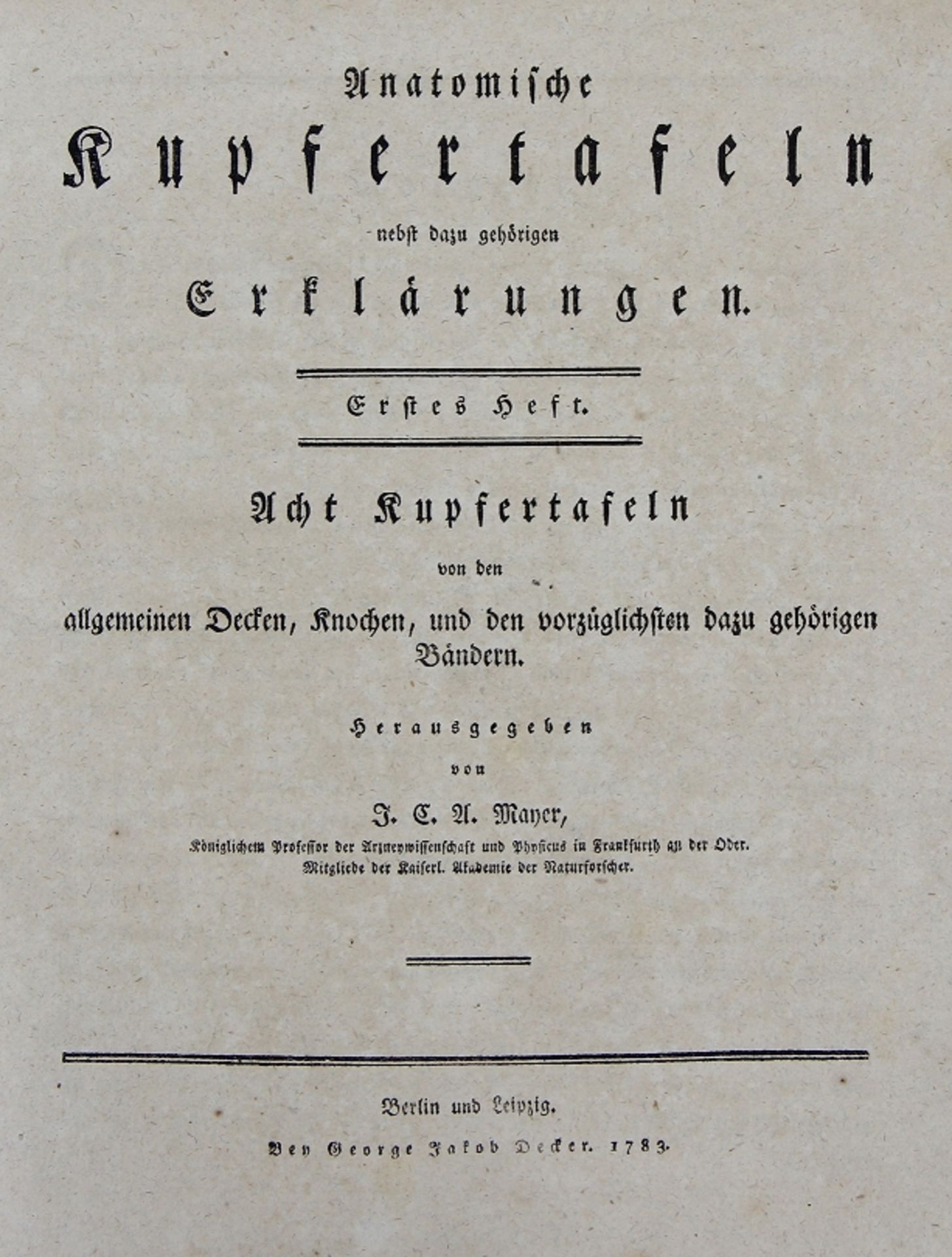 Johann Christoph Andreas Mayer "Anatomische Kupfertafeln nebst den dazu gehörigen Erklärungen"