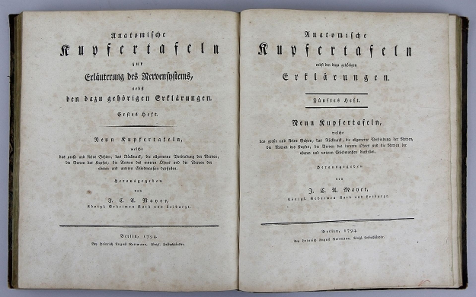 Johann Christoph Andreas Mayer "Anatomische Kupfertafeln nebst den dazu gehörigen Erklärungen" - Bild 5 aus 12