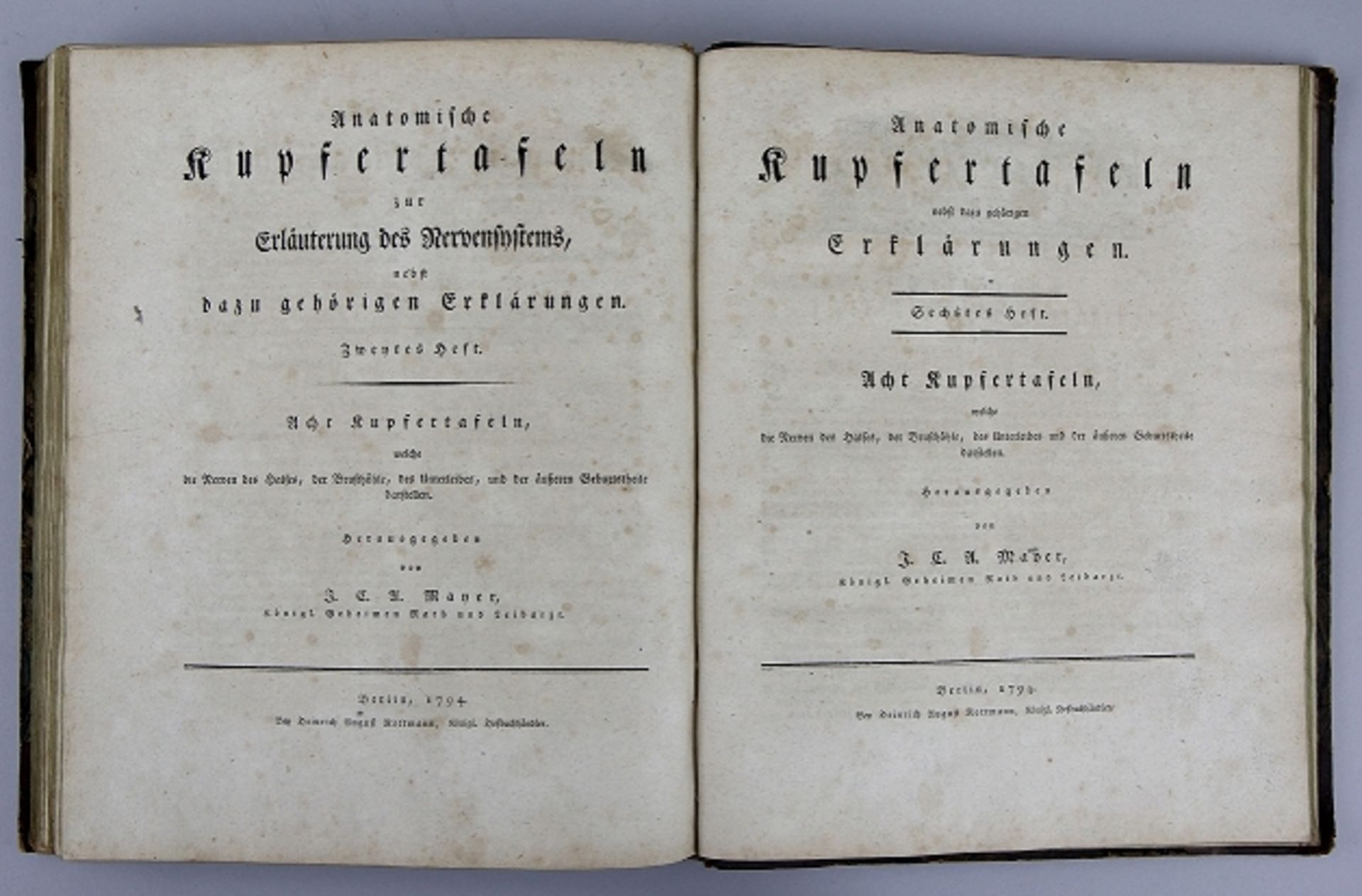Johann Christoph Andreas Mayer "Anatomische Kupfertafeln nebst den dazu gehörigen Erklärungen" - Bild 6 aus 12