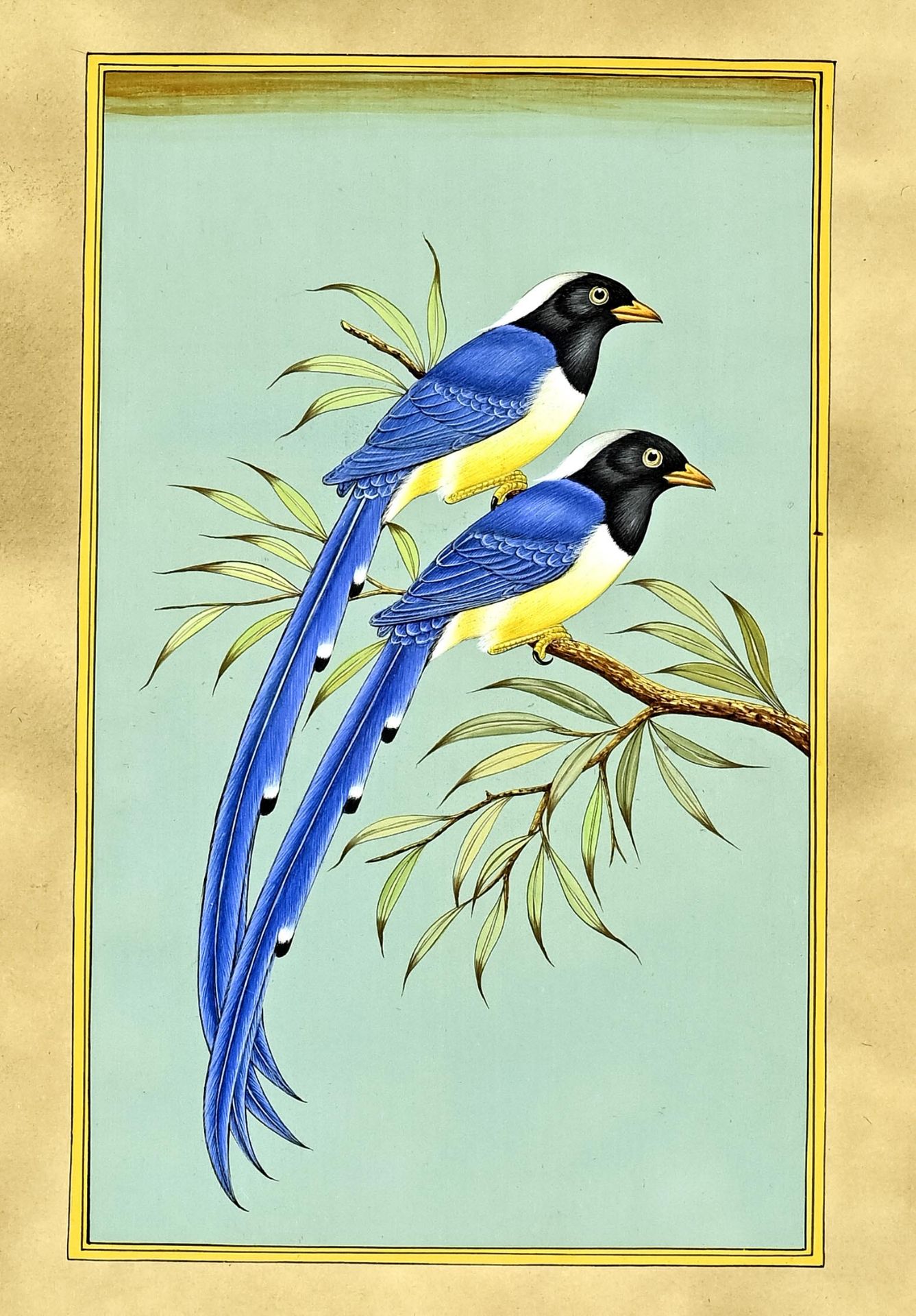 Pair of miniatures, Persia, 19th century, "birds", gouache, picture size 20 x 12 cm, framed behind  - Image 2 of 2