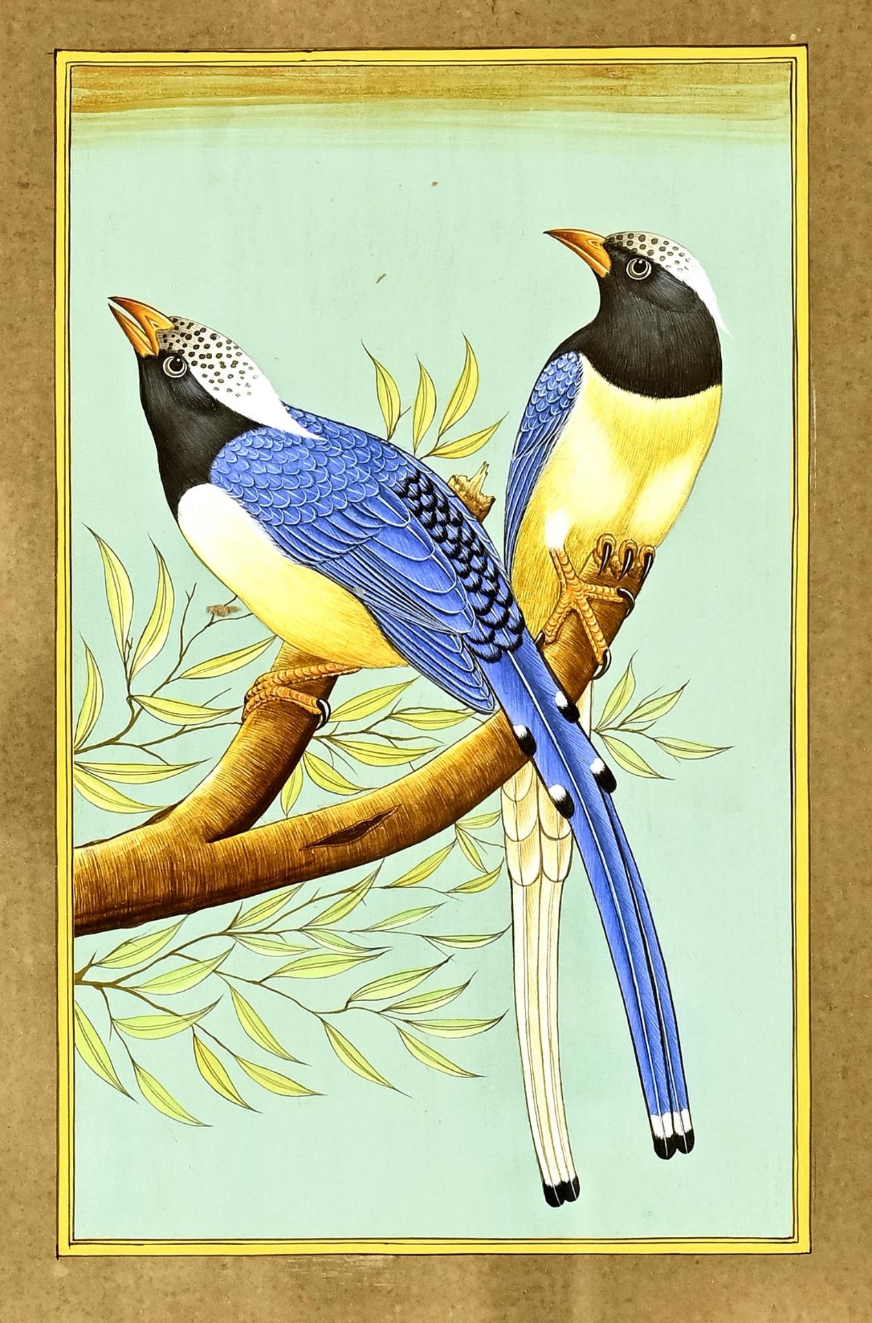 Pair of miniatures, Persia, 19th century, "birds", gouache, picture size 20 x 12 cm, framed behind 