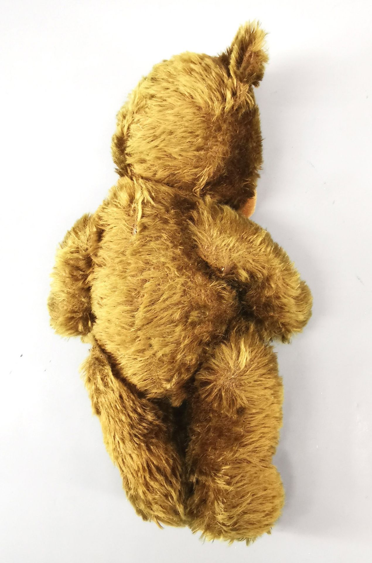Teddy - Bild 8 aus 8