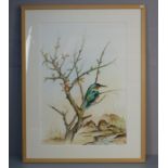 FRANZ TRÜMPER - AQUARELL "EISVOGEL"