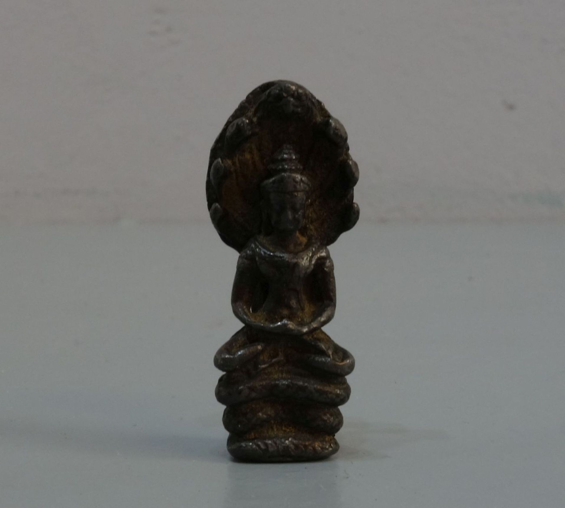 MINIATUR: NAGA-BUDDHA