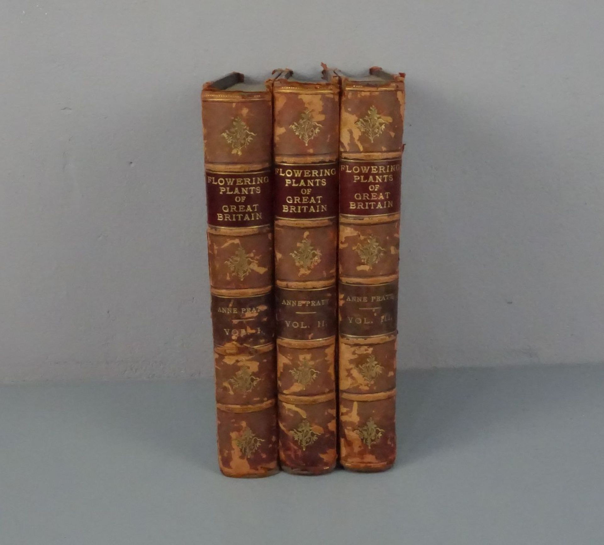 KONVOLUT BÜCHER VON 1899-1905: The Flowering Plants (Bd. 1-3) - Bild 2 aus 3
