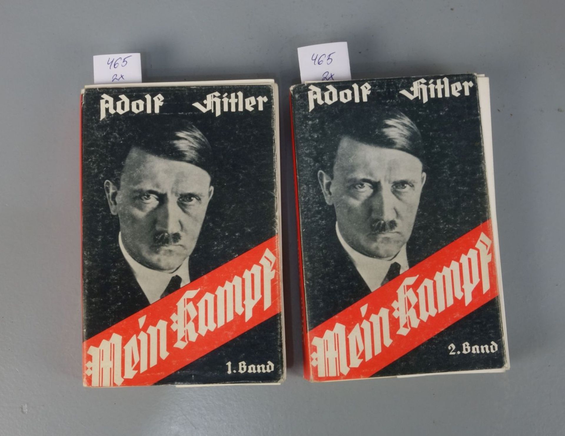 BUCH: "MEIN KAMPF" IN ZWEI BÄNDEN