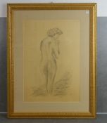 DRAWING: "FEMALE BACK NUDE"