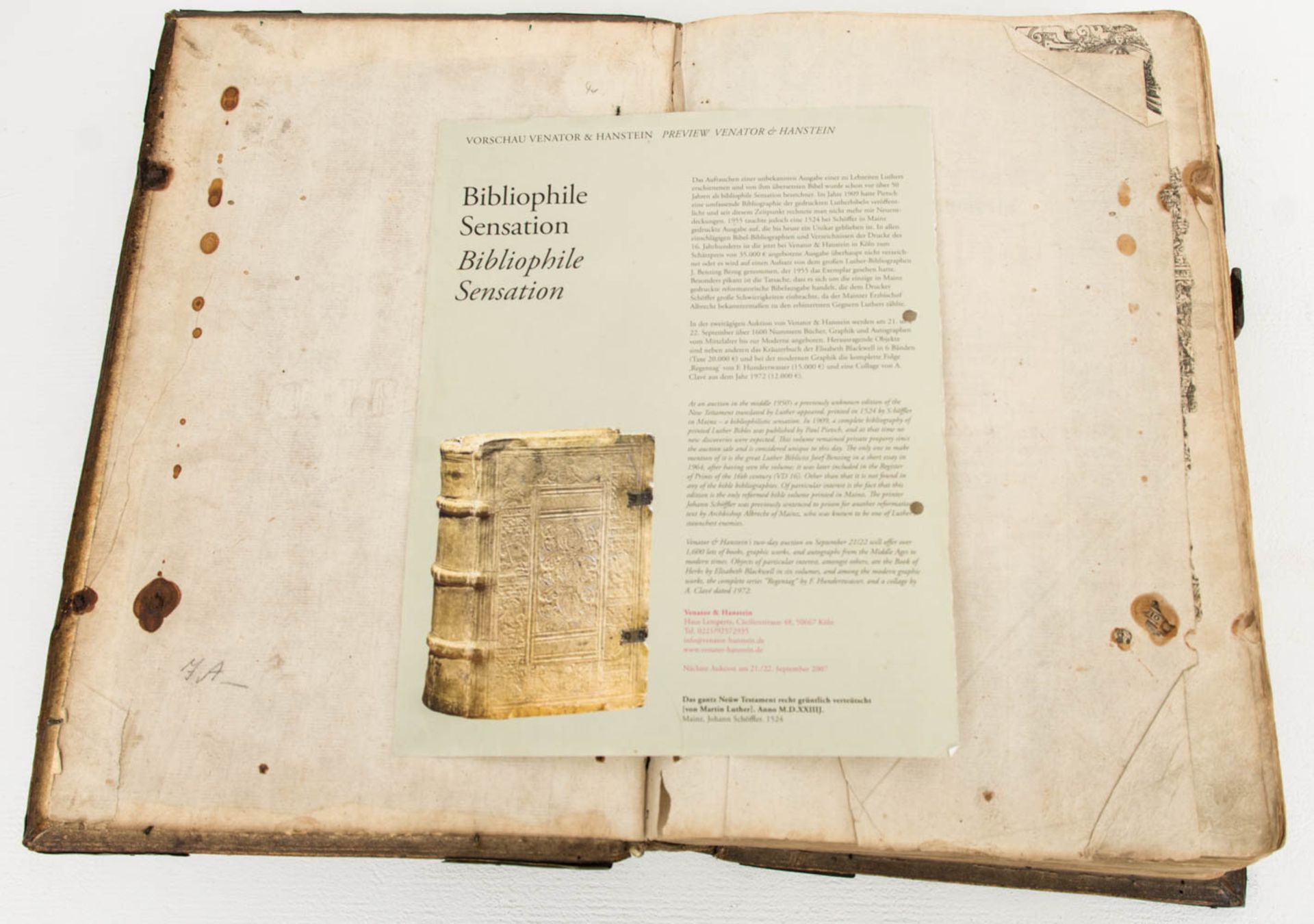 Katholische Bibel, Johann Dietenberger 1564.In geprägtem Lederinband gefasst. Fur - Bild 7 aus 12