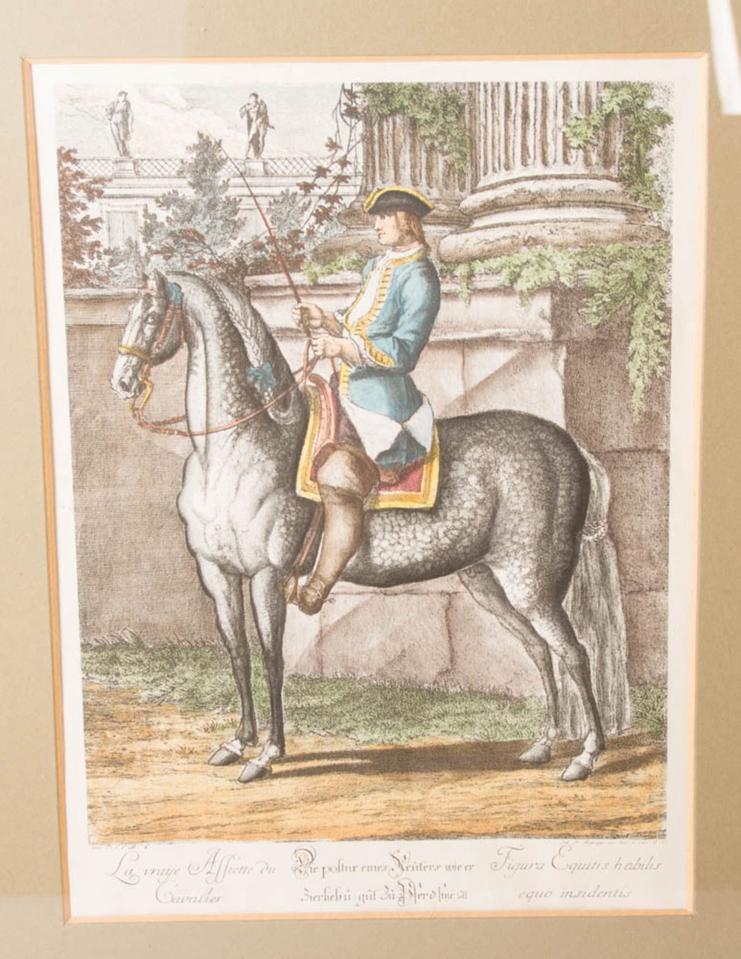 Johann Elias Ridinger, Neun Reiterdarstellungen aus der Folge "Neue Reitschule" von 1734. - Image 14 of 21