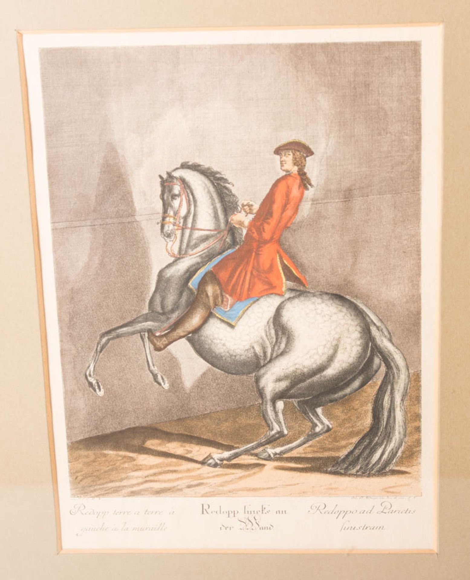 Johann Elias Ridinger, Neun Reiterdarstellungen aus der Folge "Neue Reitschule" von 1734. - Bild 6 aus 21