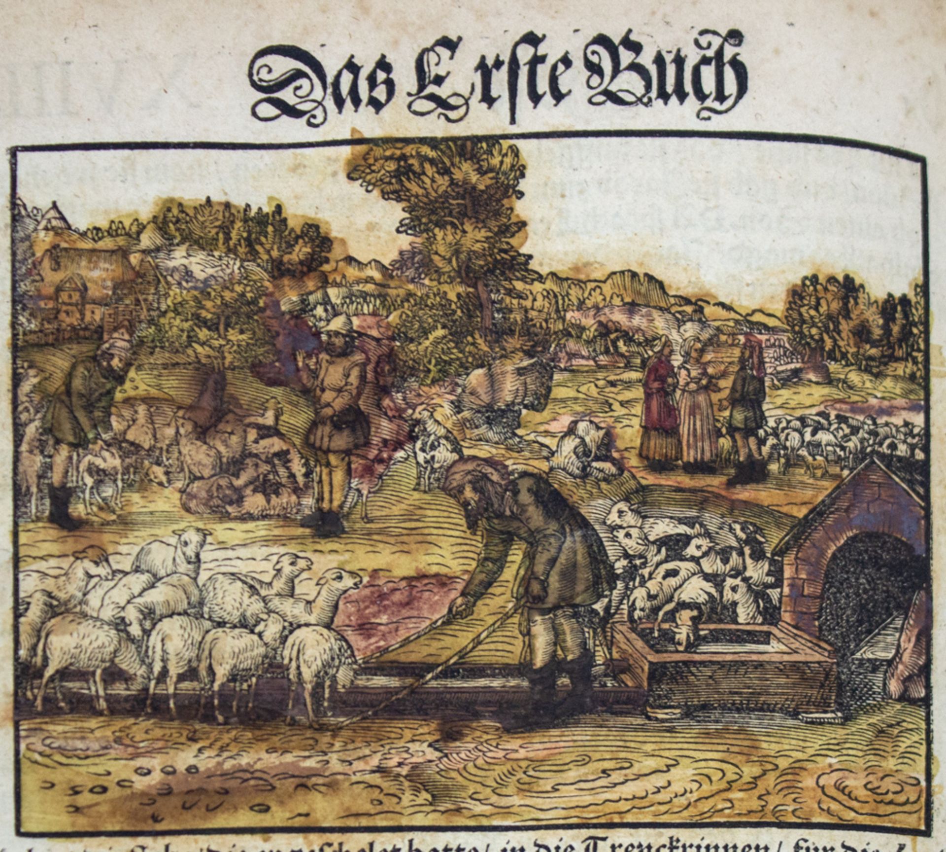 Wartburg Bibel, mit zahlreichen kolorierten Holzschnitten, 1541. - Image 7 of 18