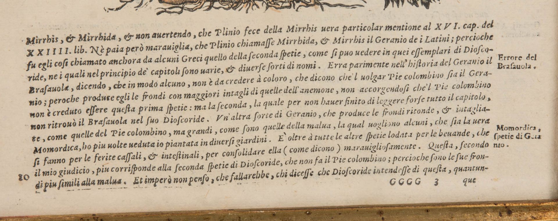 Schöne Pflanzendarstellung, Blutige Geranie, Kolorierter Kuperstich im Imperial-Folio Format. - Image 3 of 6