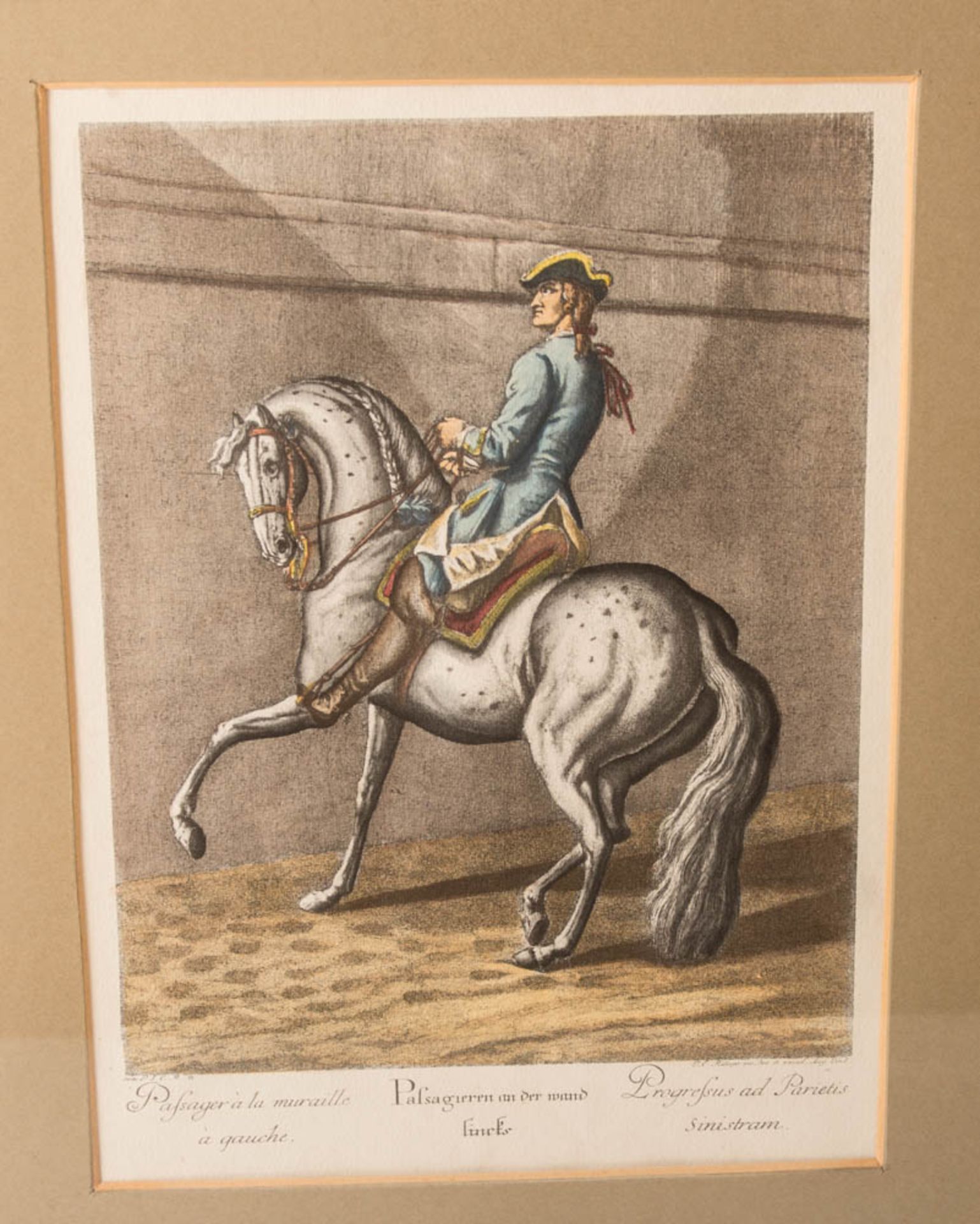 Johann Elias Ridinger, Neun Reiterdarstellungen aus der Folge "Neue Reitschule" von 1734. - Image 7 of 21