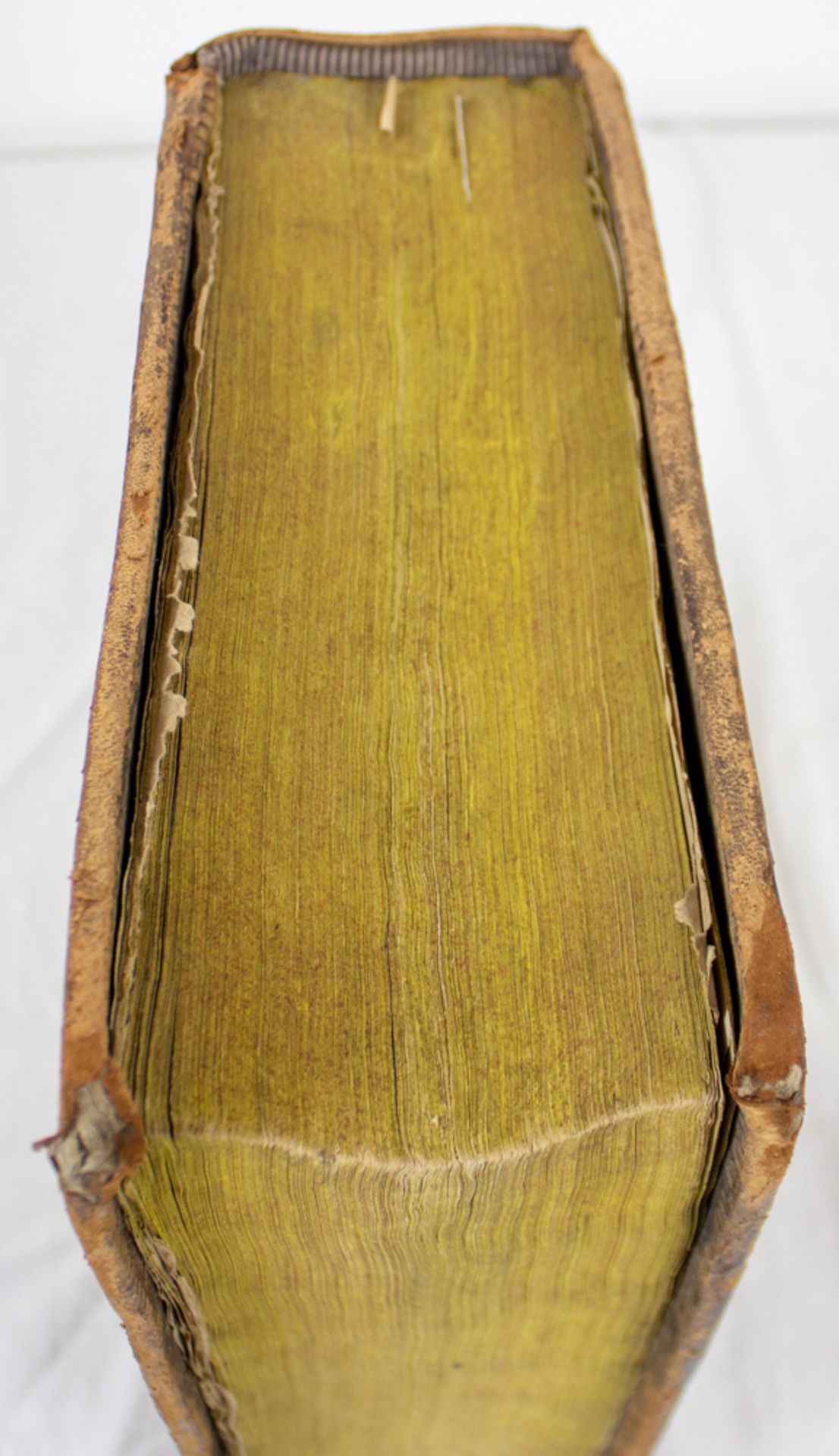 Weigand Bibel, Kolorierte Holzschnitte von Jost Amman, 16. Jh. - Image 4 of 20