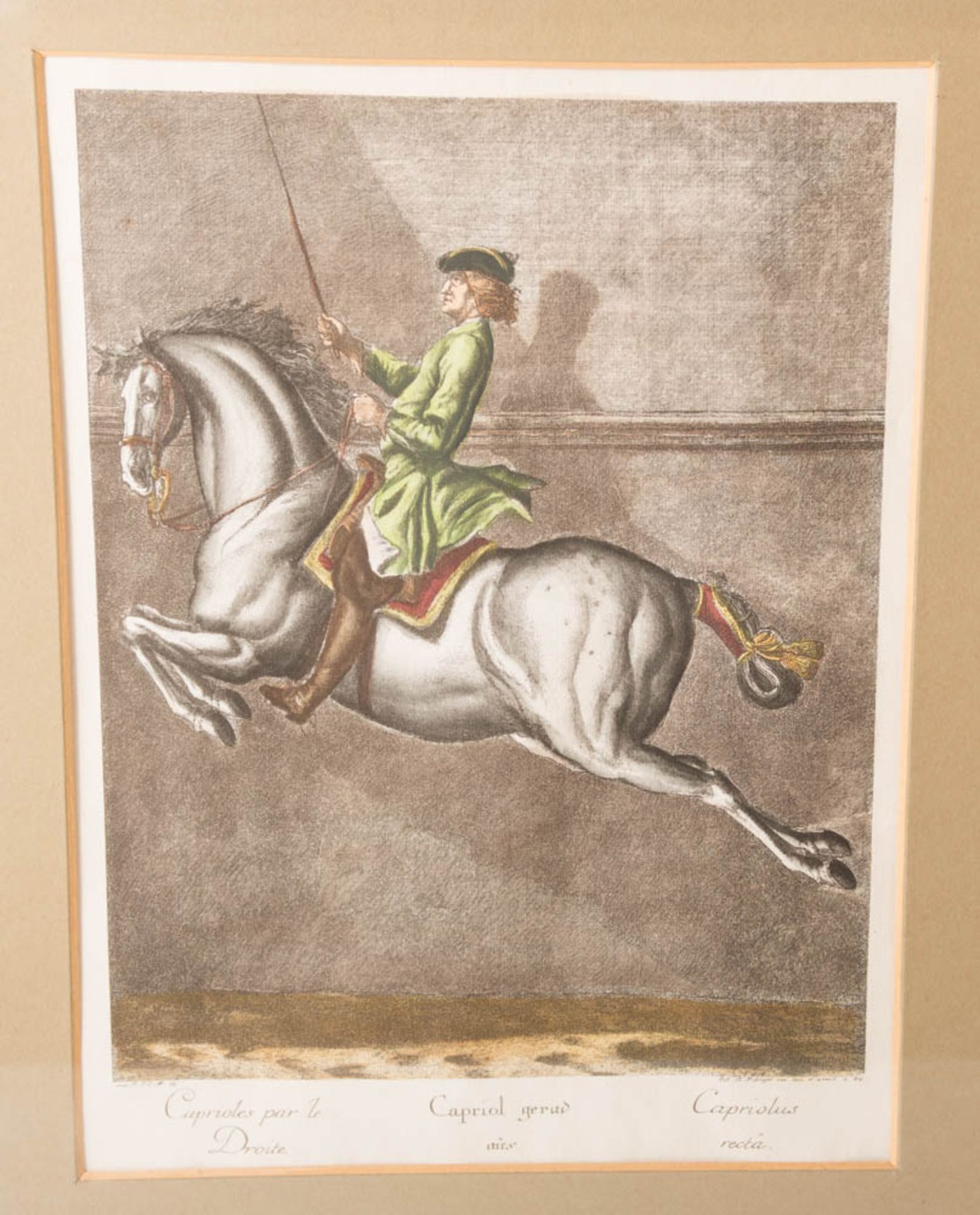 Johann Elias Ridinger, Neun Reiterdarstellungen aus der Folge "Neue Reitschule" von 1734. - Image 18 of 21