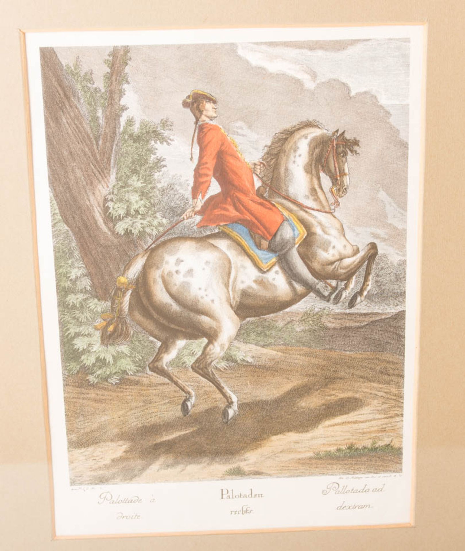 Johann Elias Ridinger, Neun Reiterdarstellungen aus der Folge "Neue Reitschule" von 1734. - Image 2 of 21