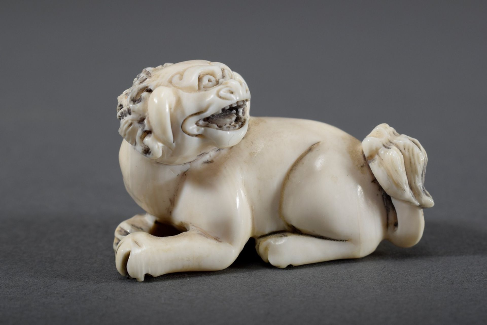 Elfenbein Netsuke "Liegender Fo-Löwe", am Boden sign., Anf. 20.Jh., H. 3cm, lei