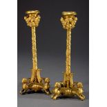 Paar Bronze feuervergoldete Leuchter mit plastis | Pair of bronze fire-gilt candlestick holders wit