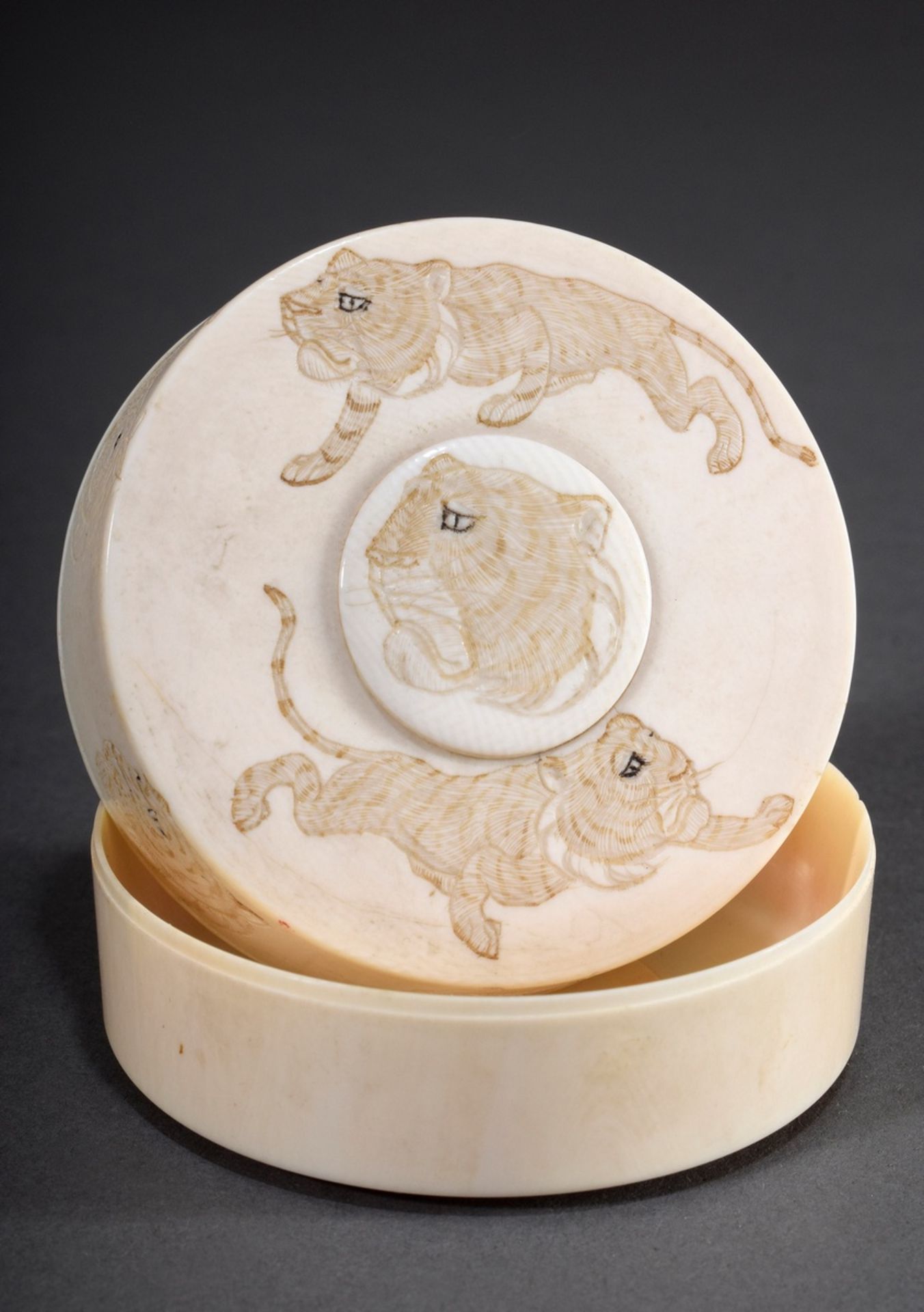 Elfenbein Dose mit graviertem Dekor "Tiger, Nash | Ivory box with engraved decoration "Tiger, rhino