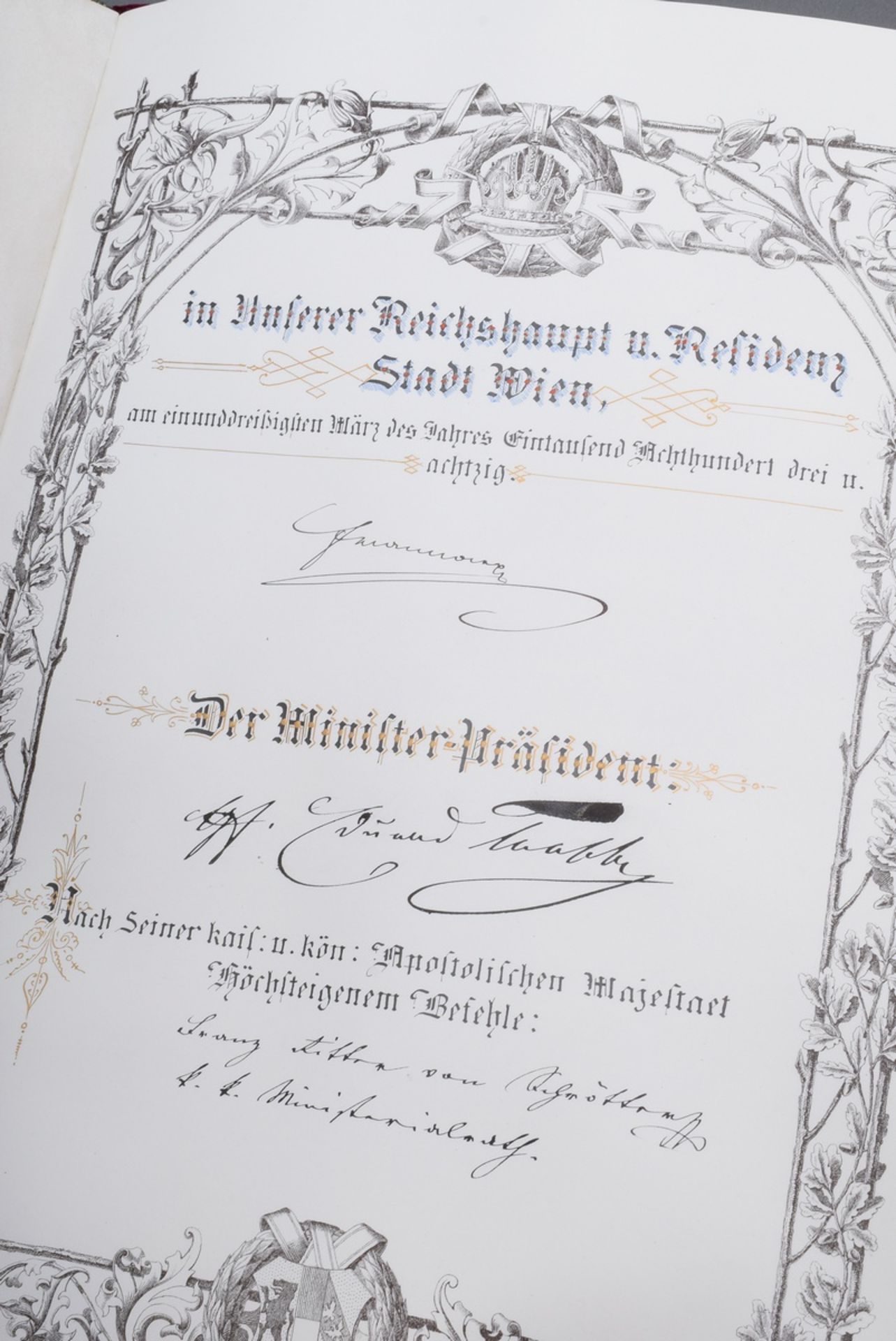 Adelsdiplom/Adelsbrief für Julius (Ritter von) B | Nobility diploma/letter of nobility for Julius ( - Bild 14 aus 14