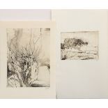 2 Janssen, Horst (1929-1995) "nature morte" (19) | 2 Janssen, Horst (1929-1995) "nature morte" (19)