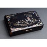 Rechteckige Schildpatt Dose mit feinen Perlmutt- | Rectangular tortoiseshell box with fine mother-o