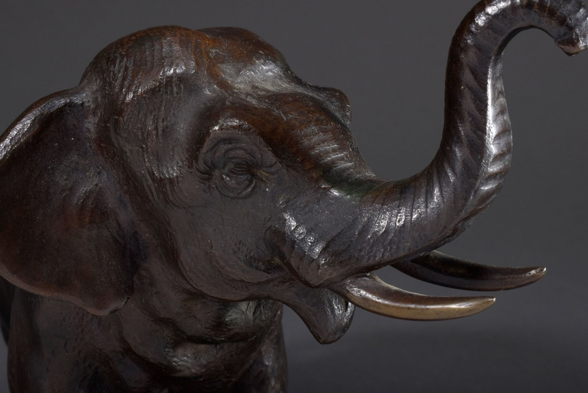 Bronze "Schreitender Elefant mit erhobenem Rüssel" | Bronze "Striding elephant with raised trunk", - Bild 5 aus 6