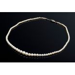 Einreihige Zuchtperlenkette im Verlauf, 835 Silb | Single row cultured pearl necklace in gradient,
