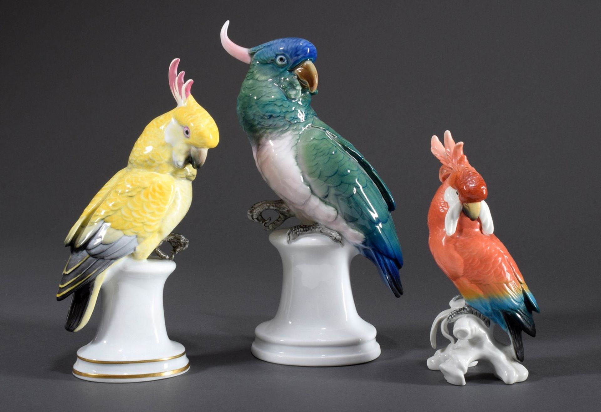 3 Diverse Ens Porzellan Figuren "Kakadus", farbi | 3 Various Ens porcelain figures "Cockatoos", col