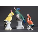 3 Diverse Ens Porzellan Figuren "Kakadus", farbi | 3 Various Ens porcelain figures "Cockatoos", col