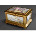 Große französische Emaille Schatulle mit 5 lupen | Large French enamel casket with 5 flawless pictu