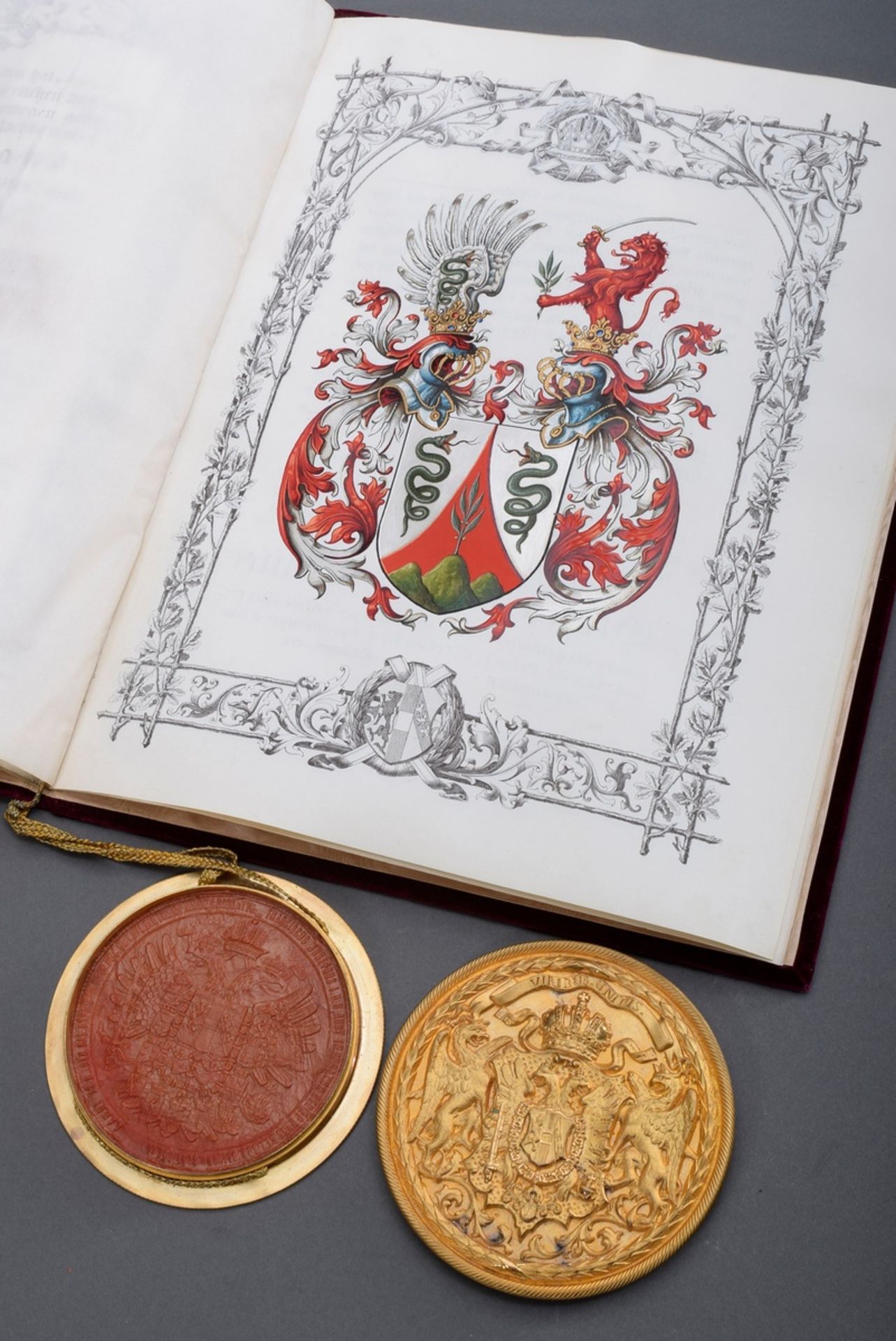 Adelsdiplom/Adelsbrief für Julius (Ritter von) B | Nobility diploma/letter of nobility for Julius ( - Bild 13 aus 14