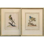 2 Colorierte Kupferstiche: Leitner, Johann Sebas | 2 Colored copper engravings: Leitner, Johann Seb