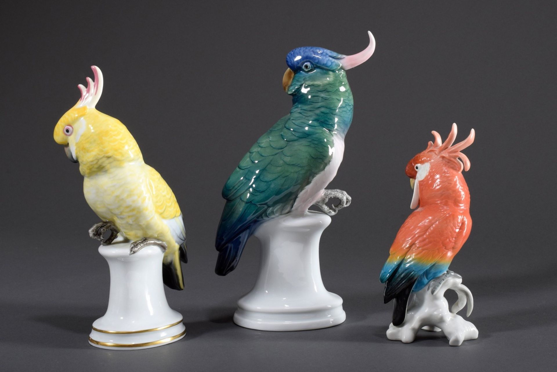 3 Diverse Ens Porzellan Figuren "Kakadus", farbi | 3 Various Ens porcelain figures "Cockatoos", col - Bild 2 aus 12