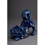 Chinesische Keramik "Spielender Shishi" mit blau | Chinese pottery "Playing Shishi" with blue/black