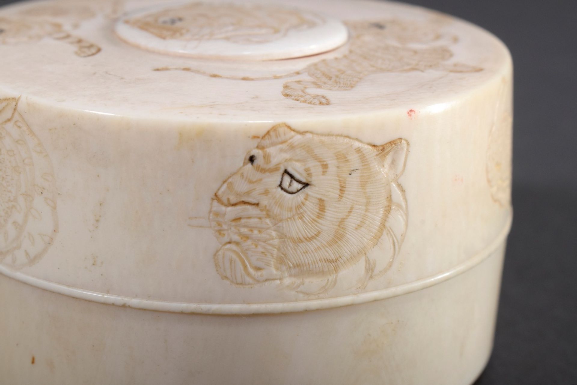 Elfenbein Dose mit graviertem Dekor "Tiger, Nash | Ivory box with engraved decoration "Tiger, rhino - Bild 4 aus 6