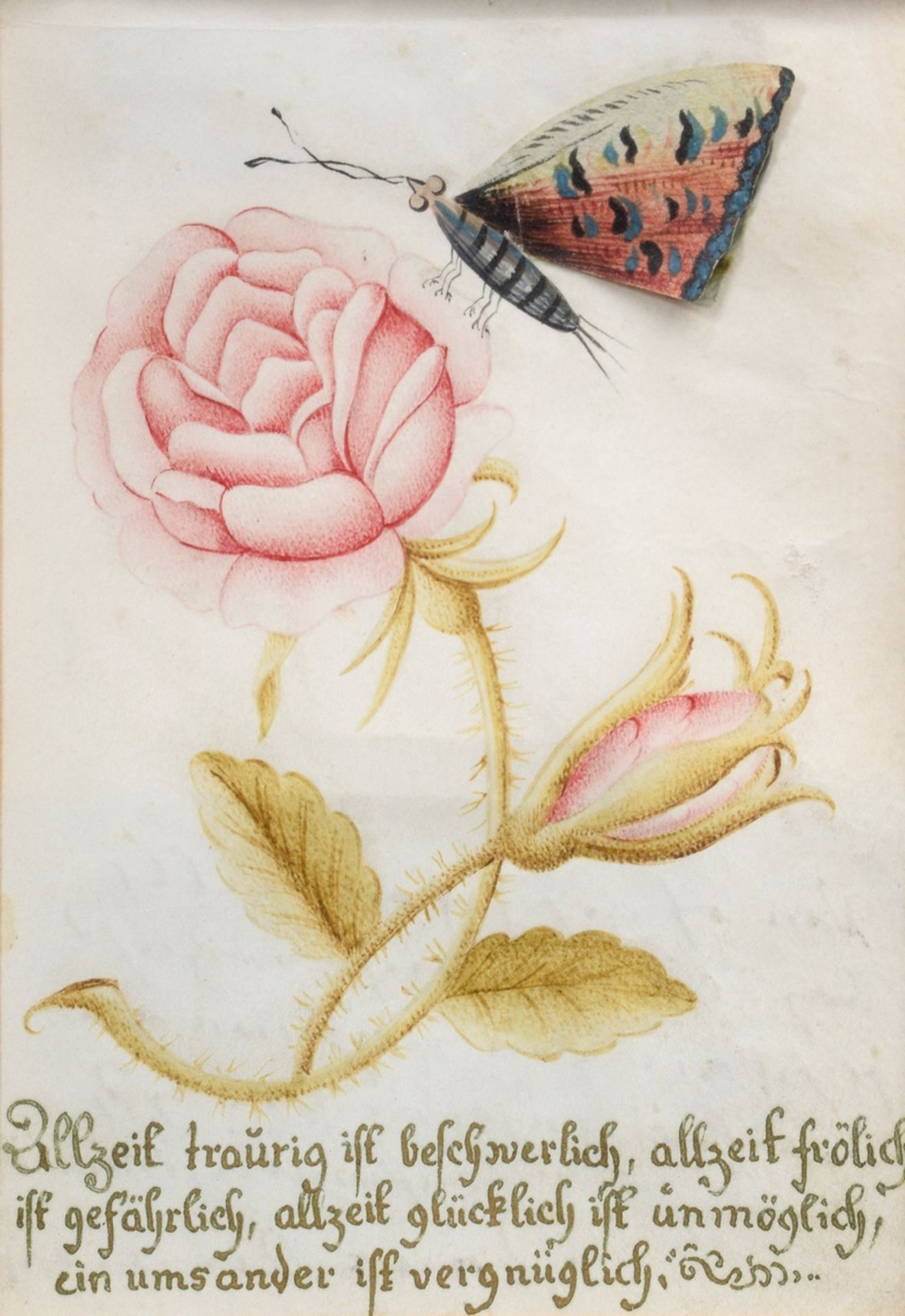Österreichischer Künstler des 18.Jh. "Poesiespruch mit Rose und Schmetterling", Aquarell/Papier, ve - Bild 2 aus 4