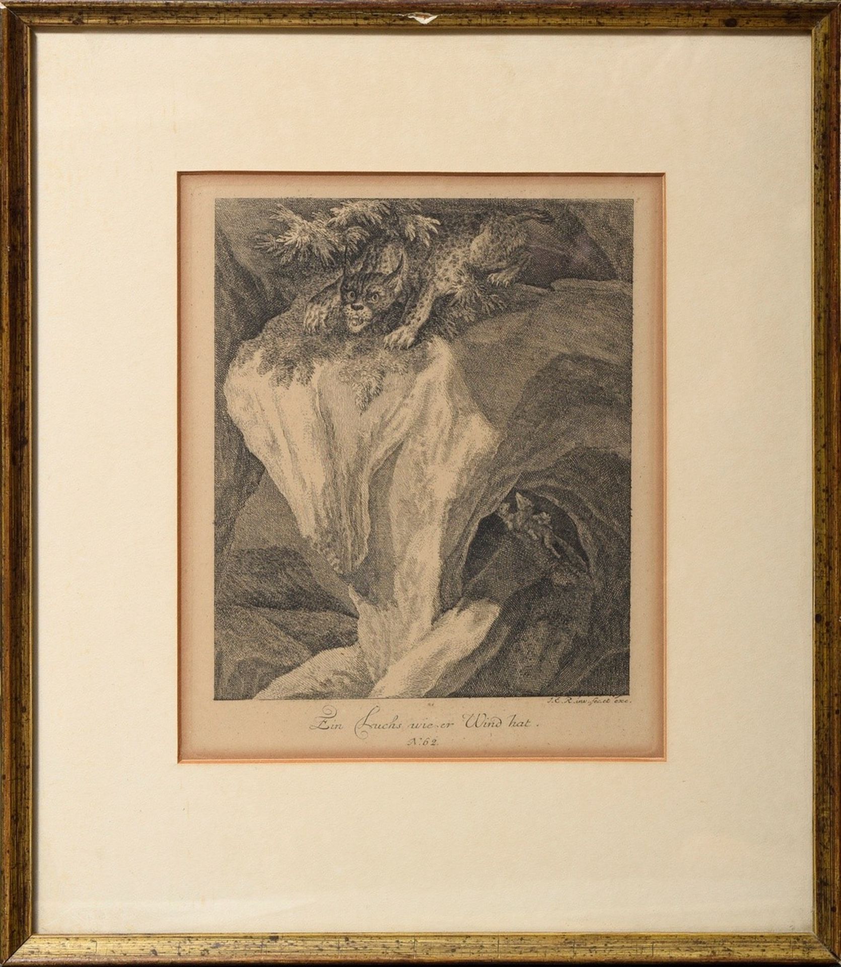 4 Ridinger, Johann Elias (1698-1767) "Luchse und Dachse" aus: "Entwurff einiger Thiere, wie solche  - Bild 6 aus 8