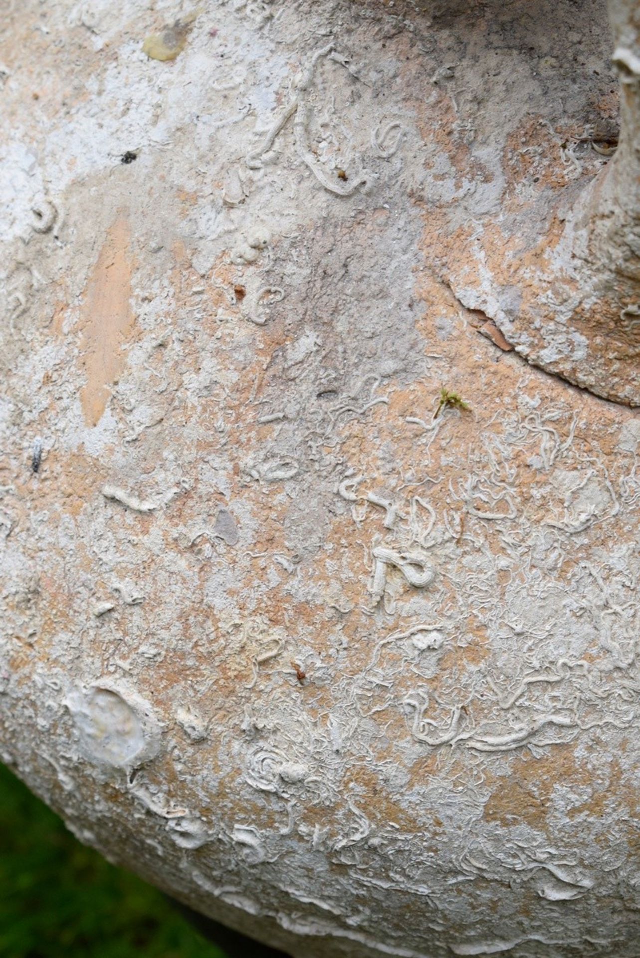 Große Terracotta Amphore mit Meeresinkrustationen auf Metall Ständer, H. 76,5cm, ehem. Slg. Charles - Bild 4 aus 5