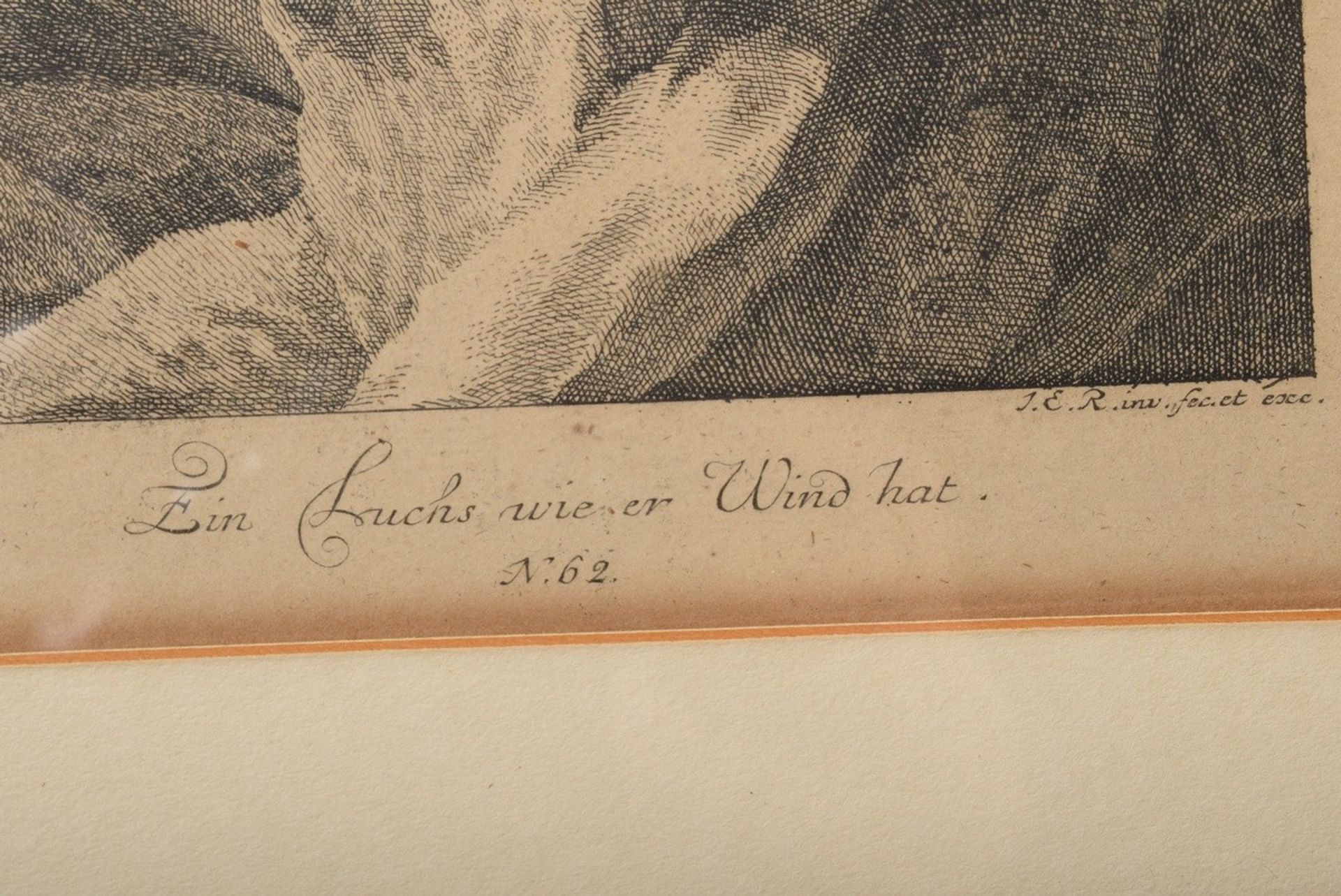 4 Ridinger, Johann Elias (1698-1767) "Luchse und Dachse" aus: "Entwurff einiger Thiere, wie solche  - Bild 4 aus 8