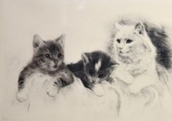 MEYER-EBERHARDT "Zwei Katzenjunge mit Katzenmutter"