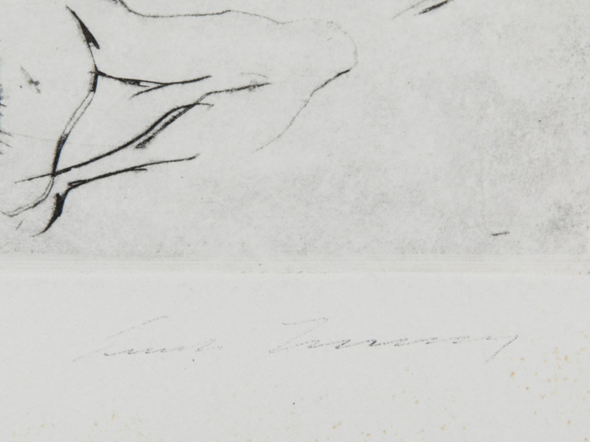 Unbekannter Lithograph, 20. Jahrhundert. "Zwei weibliche Akte", skizzenhaft abstrahierte Darste - Bild 3 aus 5