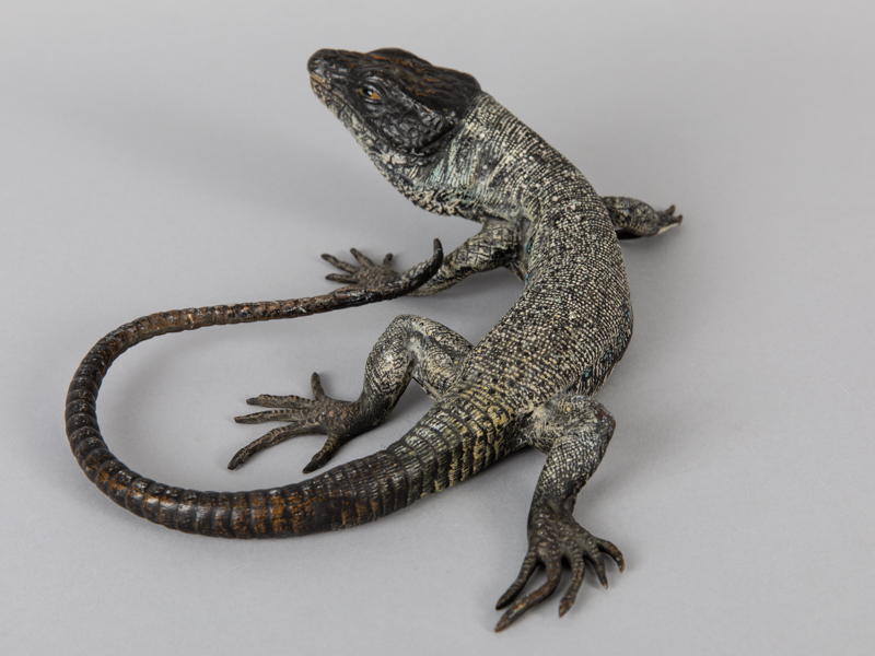 Tierplastik "Leguan" (Echse); wohl "Wiener Bronze"; 1. Hälfte 20. Jh.Bronze mit naturalistischer - Image 5 of 6