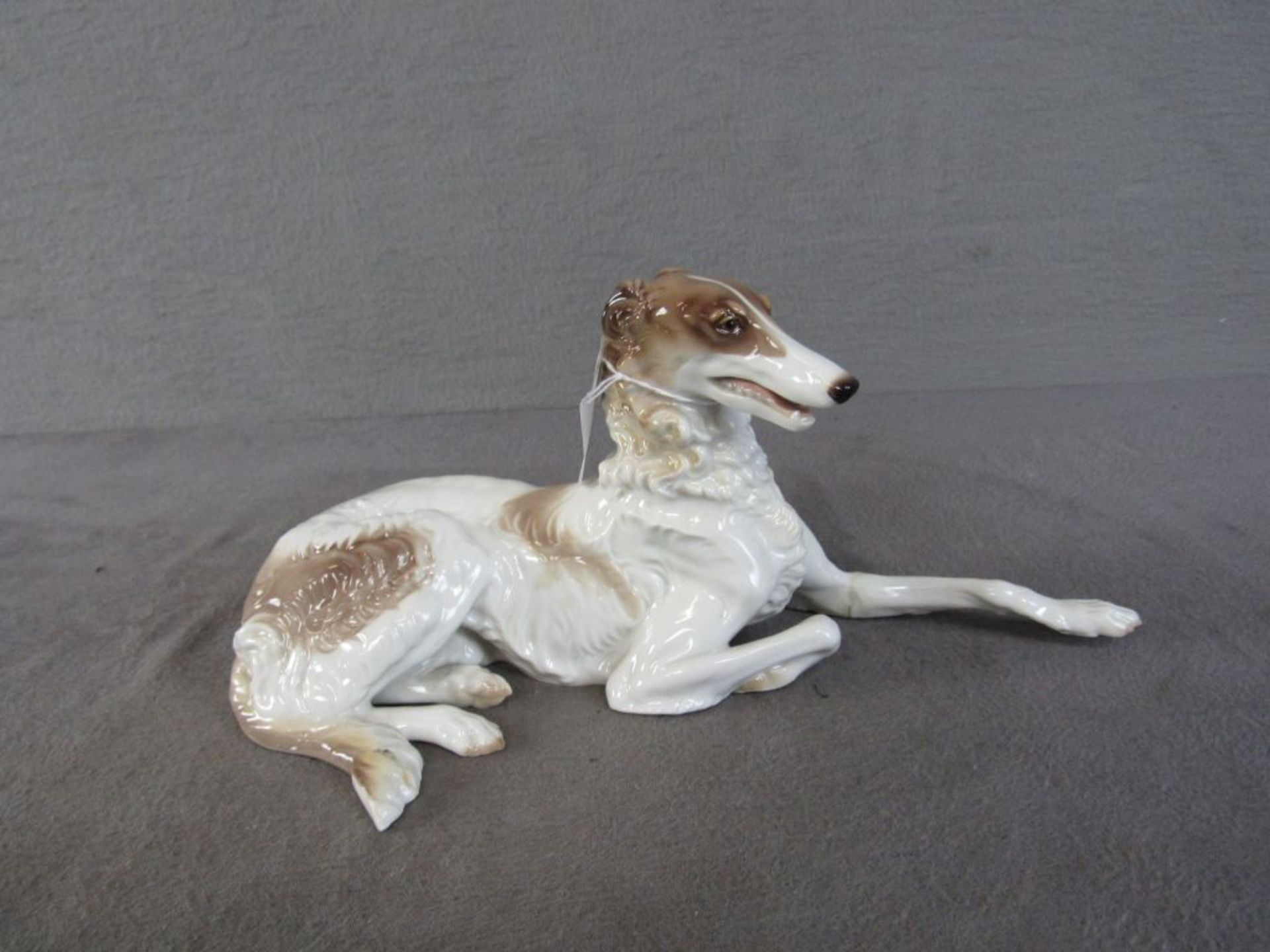 Porzellanfigur liegender Windhund Nymphenburg Länge:28cm Höhe:13cm 2 Klebestellen - Bild 4 aus 9