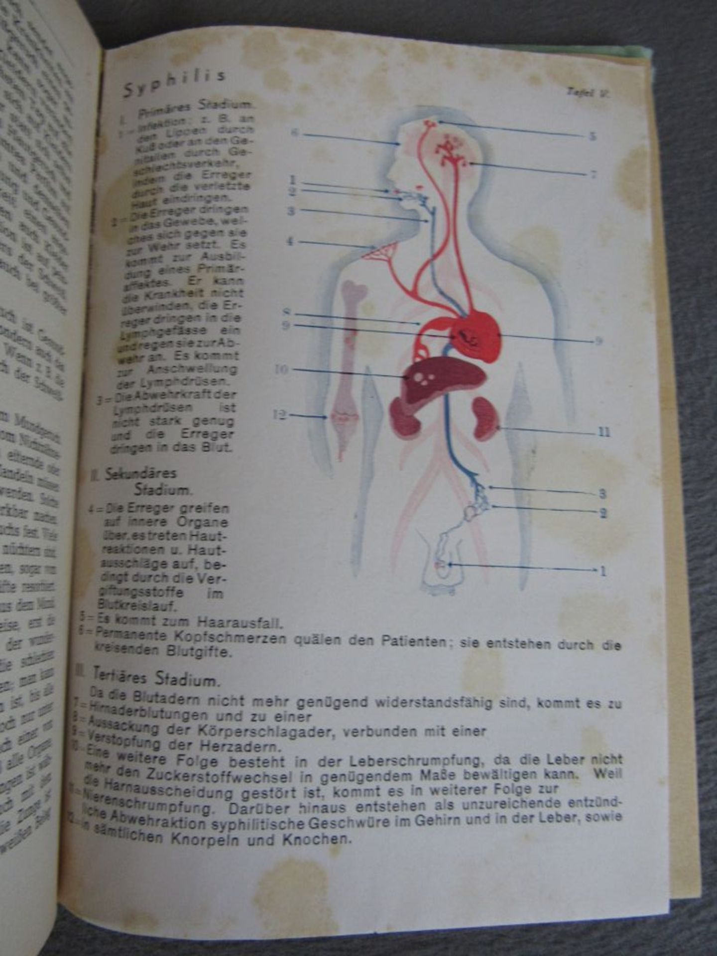 Seltenes Buch Hygiene des Sexuallebens - Image 4 of 6